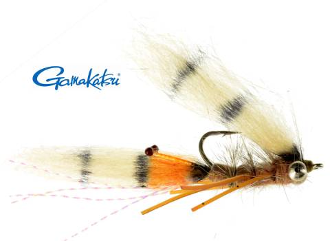 Bone Jovi Spawning Beadchain Shrimp
