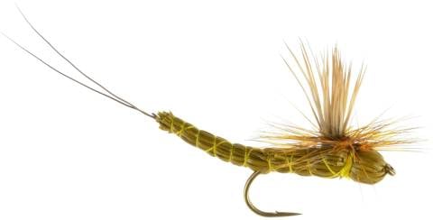Brown Drake Paradrake