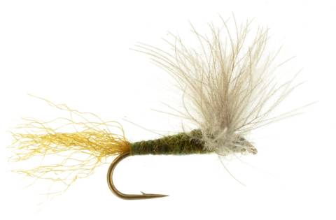 Blue-Winged Olive - CDC Wing