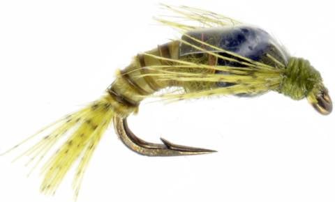 BWO Emerger - Thorax