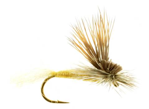 EC Caddis - Golden Tan