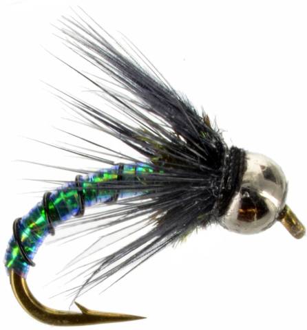 Caddis Borealis