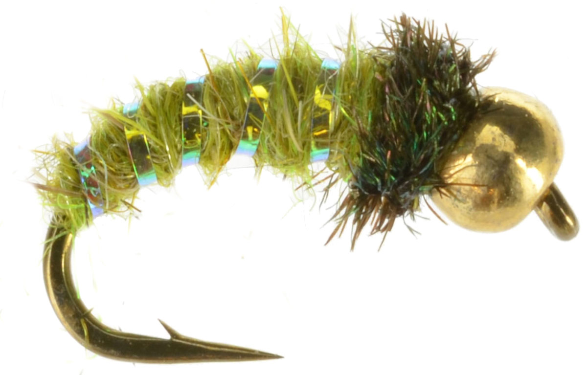 Caddis Larva Olive Beadhead Fly Fishing Flies For Less DiscountFlies