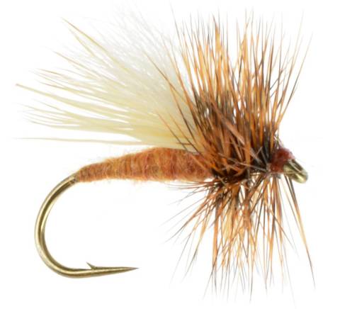 Caddis Variant