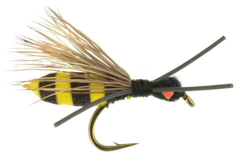 Calebs Bee