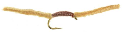 Cannons Worm - Brown