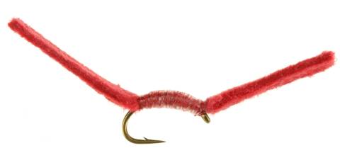Cannons Worm - Red