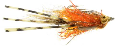 Carpers Crab