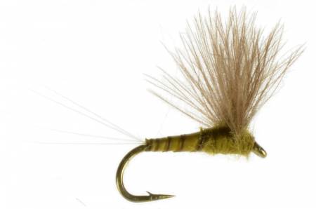 Umpqua CDC Biot Comparadun BWO 2 Pack Dry Fly Fishing Flies