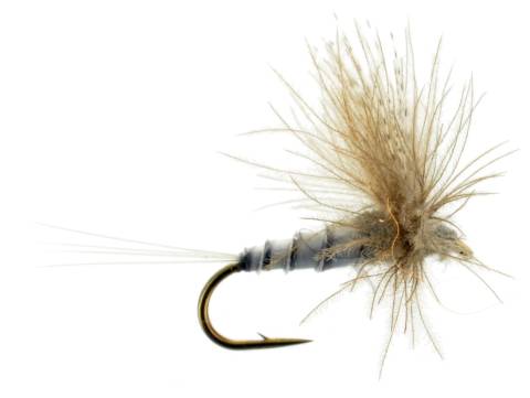 CDC Biot Comparadun - Grey