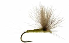 CDC Emerger PMDs 3 Sulpher Pale Morning Dun Emerger Three