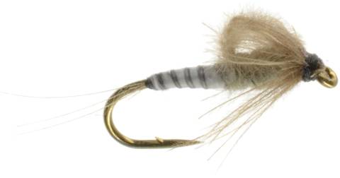 CDC Loopwing Emerger