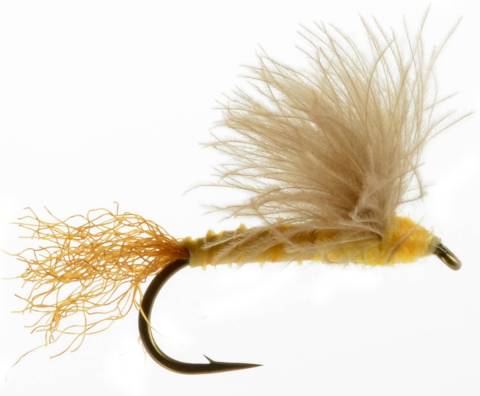 CDC Sparkle Dun - Sulfur Orange