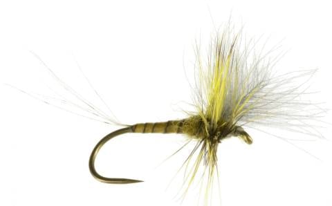 CDC Thorax Green Drake