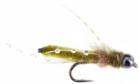 Champaign Caddis Emerger - Olive