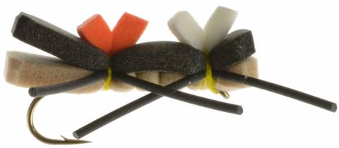 Chernobyl Ant