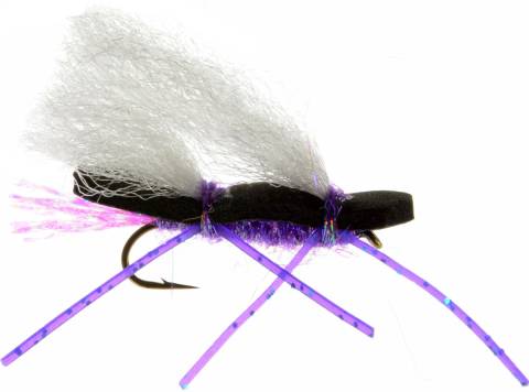 Chubby Chernobyl Ant - Purple & Black