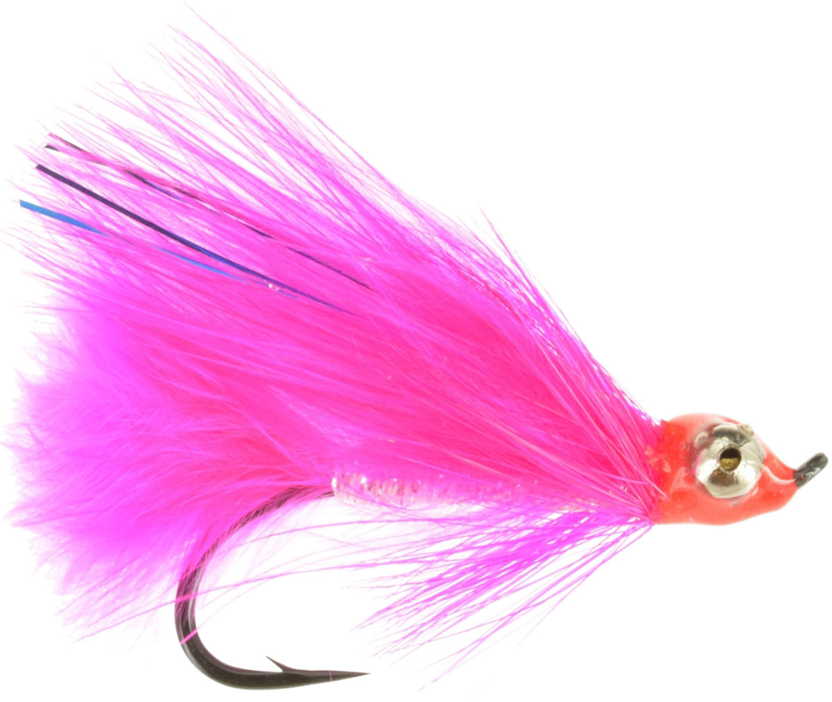 coho_comet.jpg