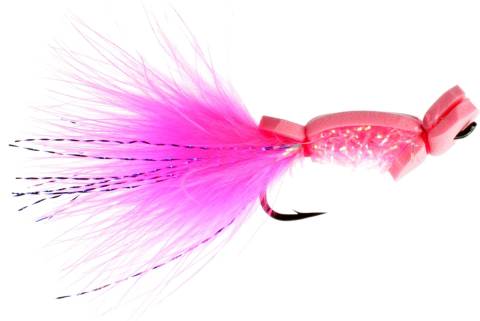 Coho Seizure