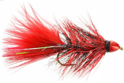Conehead Lightning Bugger - Nightmare
