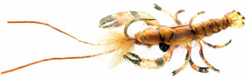 Realistic Crayfish - Brown