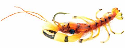 Realistic Crayfish - Tan & Orange