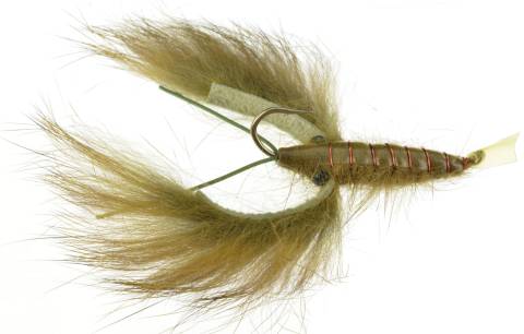 Crayfish - Olive