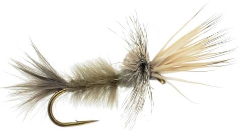 Cripple Callibaetis