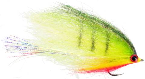 Cruiser Fly - Peacock
