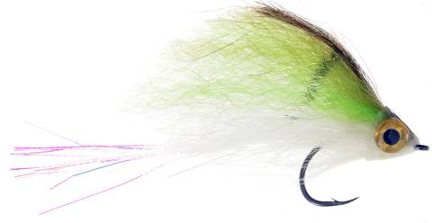 Cruiser Fly - Sardina