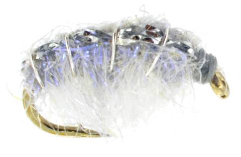 Crystal Back Scud - Grey