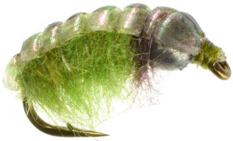 Czech Nymph - Hydrops Olive