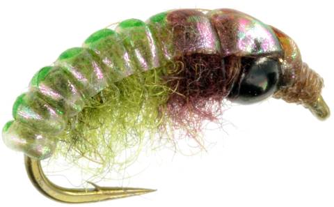 Czech Nymph - Psycho Rycho