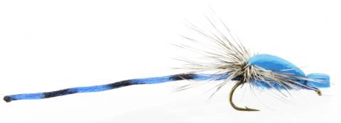 Damsel Adult - Hackle