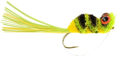 Dancing Frog - Green & Yellow