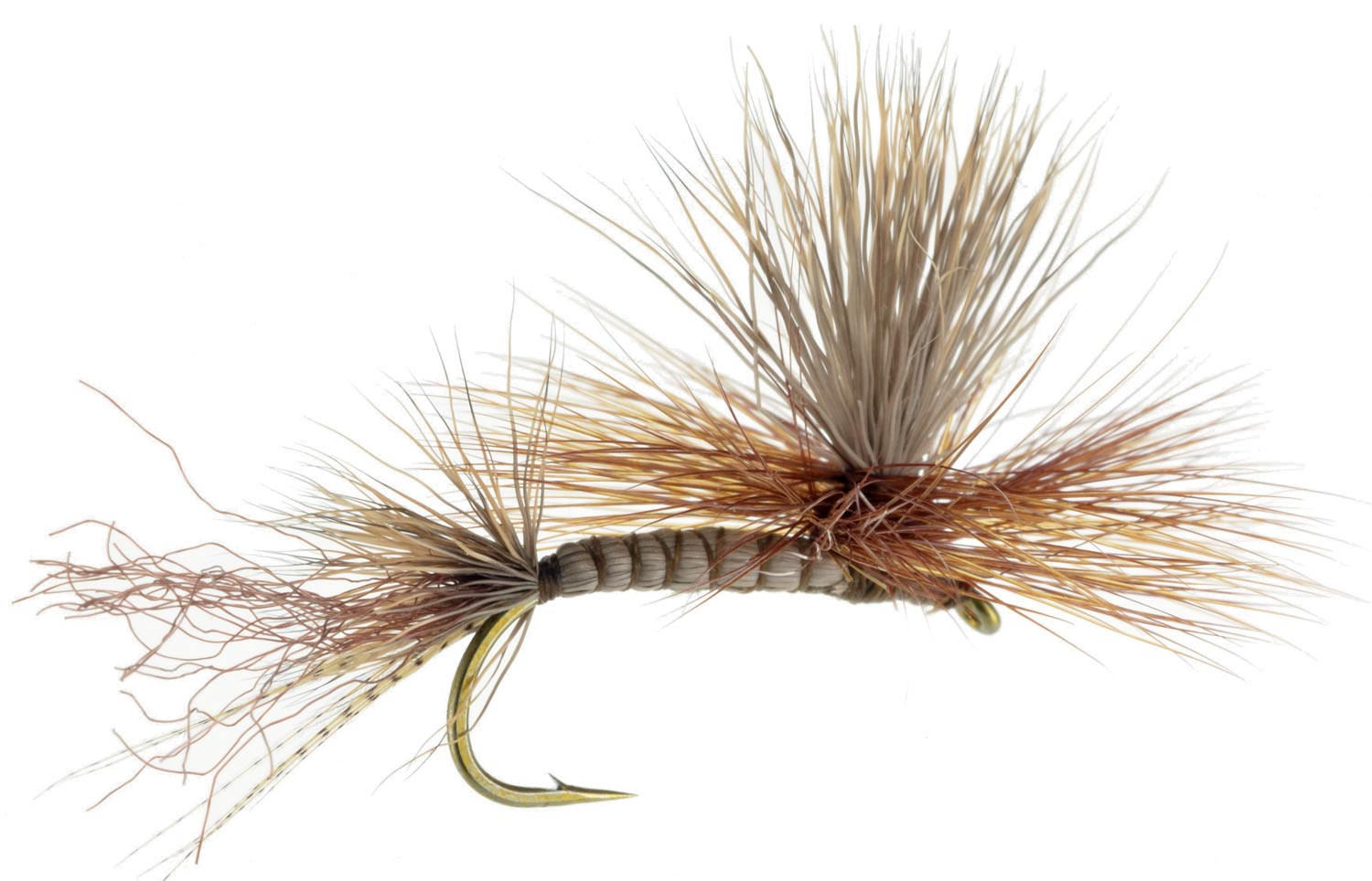 Green Drake Fly Pattern Cool Inspiration Design Green Drake Fly Pattern Cool Inspiration Design