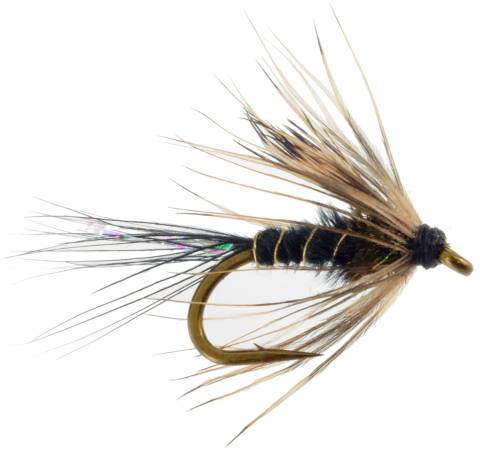 Debutante Soft Hackle - Black
