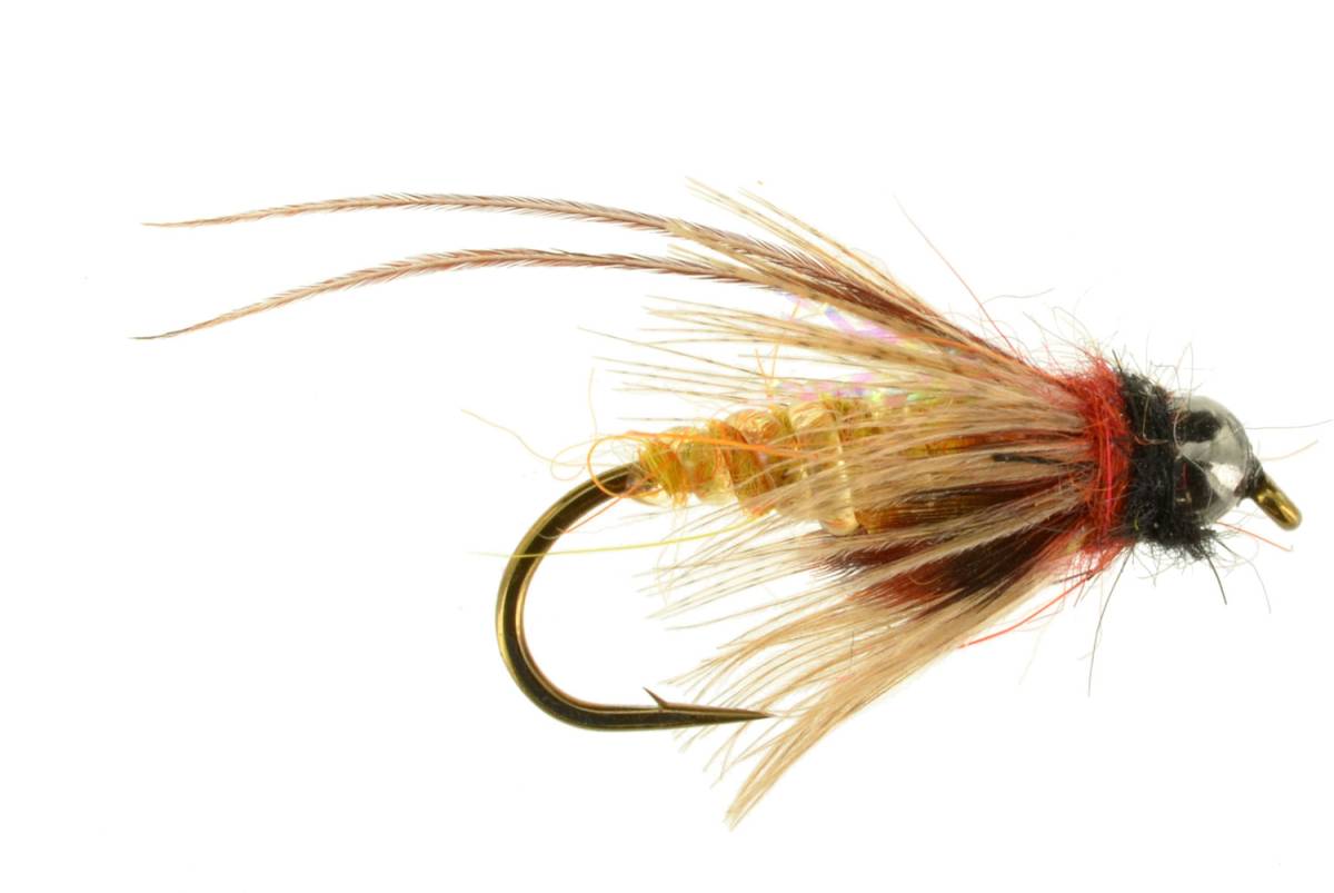 Deep October Caddis Pupa