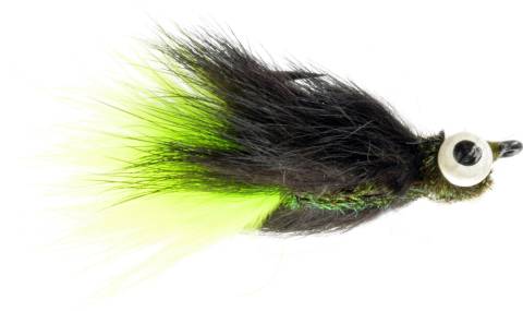 Dirty Craw