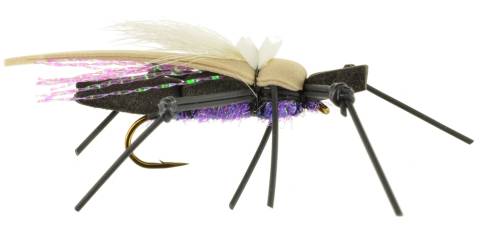 D's Water Skater - Black & Purple