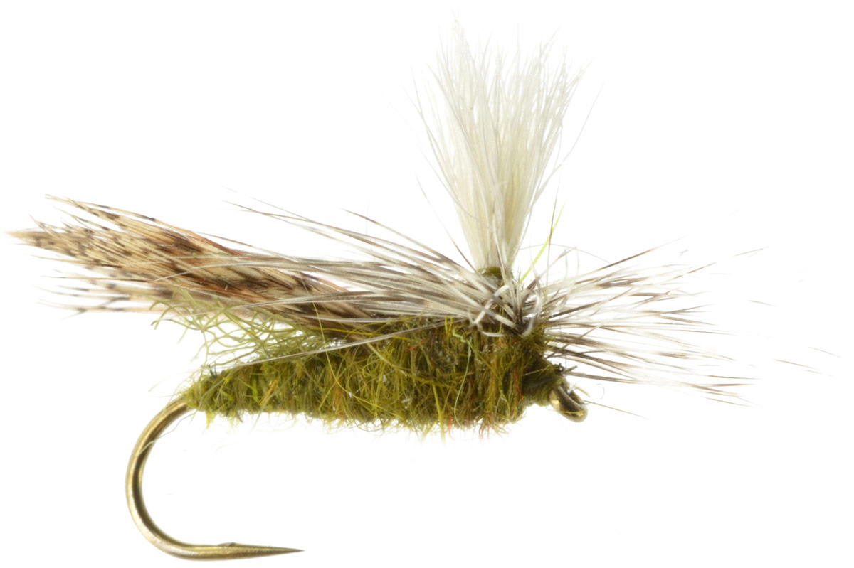olive caddis fly pattern