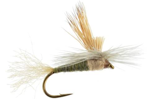 EC Caddis - Olive/Tan