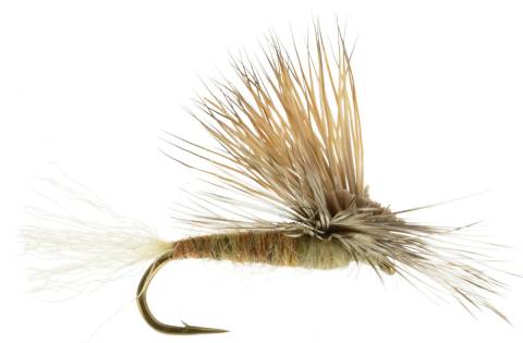 EC Caddis - Tan