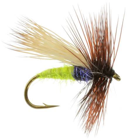 Egg Layer Caddis