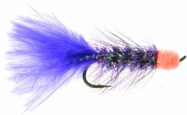 europan hook mouth fish Hookmouth Fish Europa