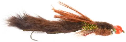 Egg Sucking Sculpin