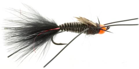 Egg Sucking Stonefly