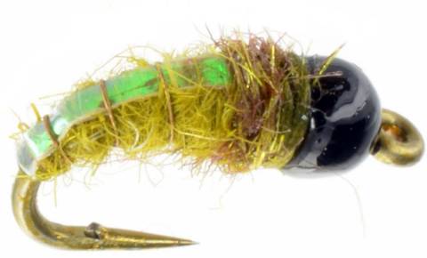Electric Caddis Olive Tungsten Bead