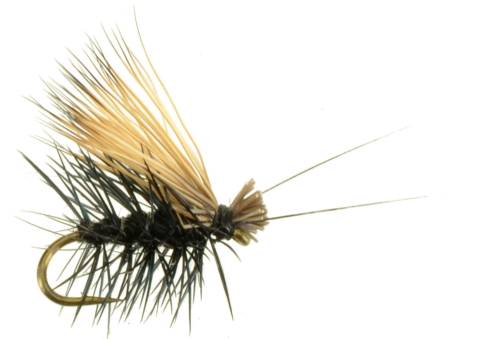 Elk Hair Caddis - Black with Antennae