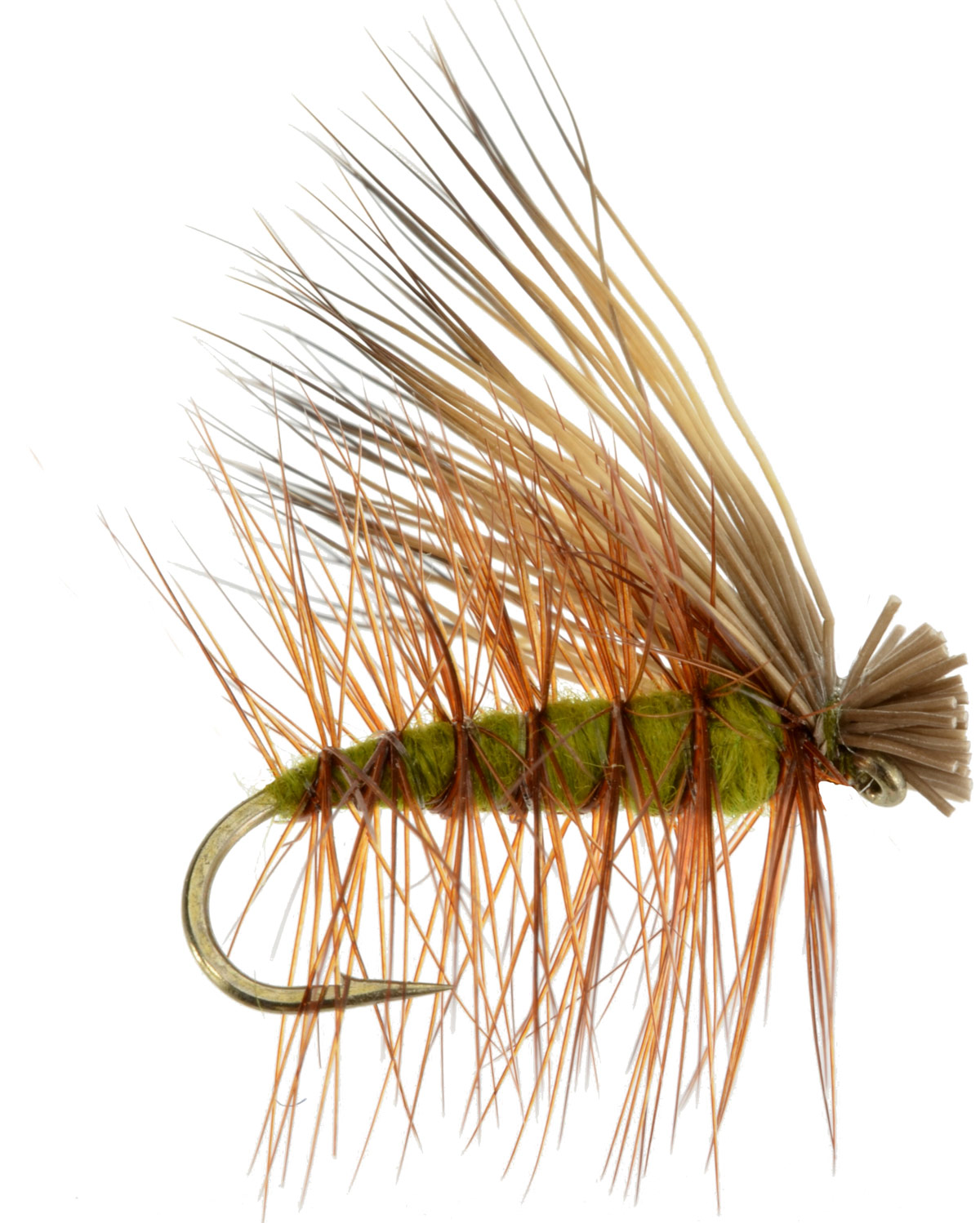 Elk Hair Caddis Olive Fly Fishing Flies For Less DiscountFlies